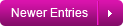 Newer Entries
